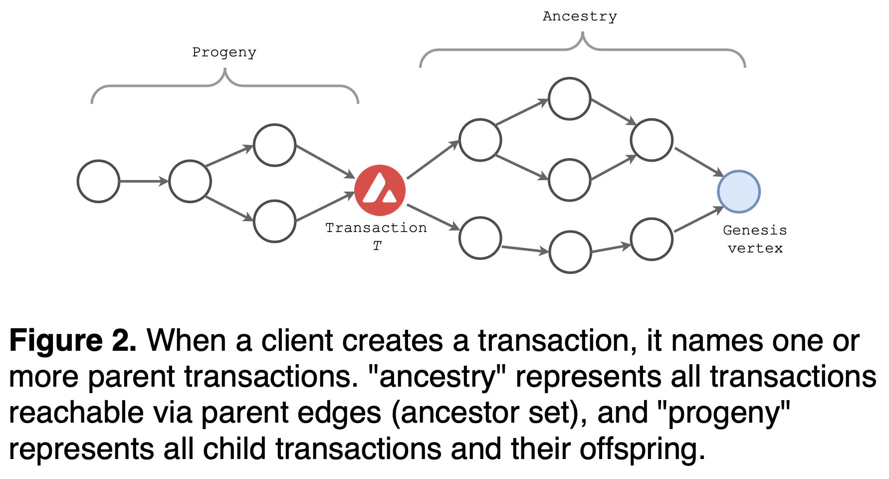 figure-2-avalanche-transaction-ancestry-progeny.png